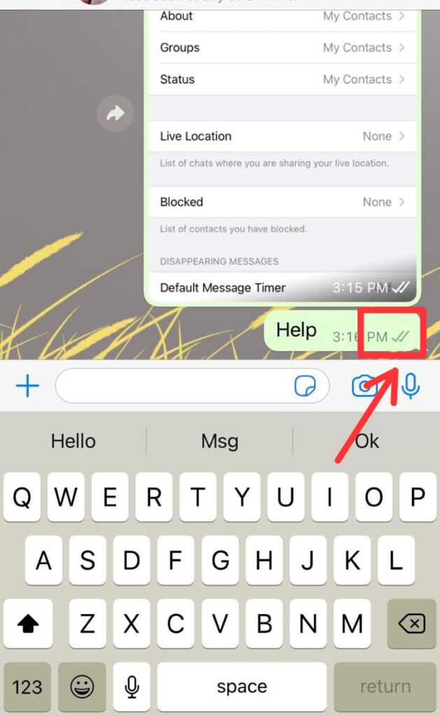 1 i How To Know If Someone Turned Off Read Receipts Whatsapp