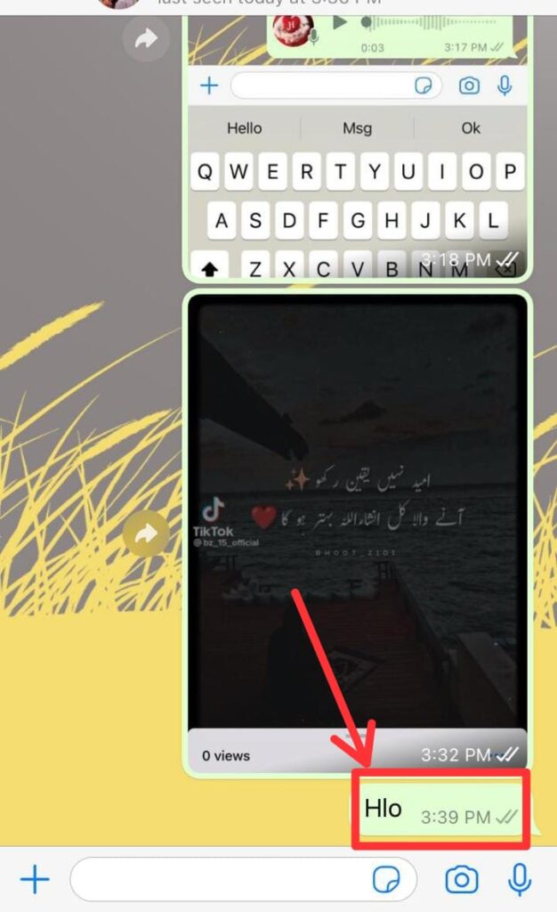3 i How To Know If Someone Opened Your Chat On Whatsapp