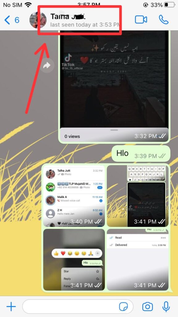 3 i How To Report A Number on WhatsApp