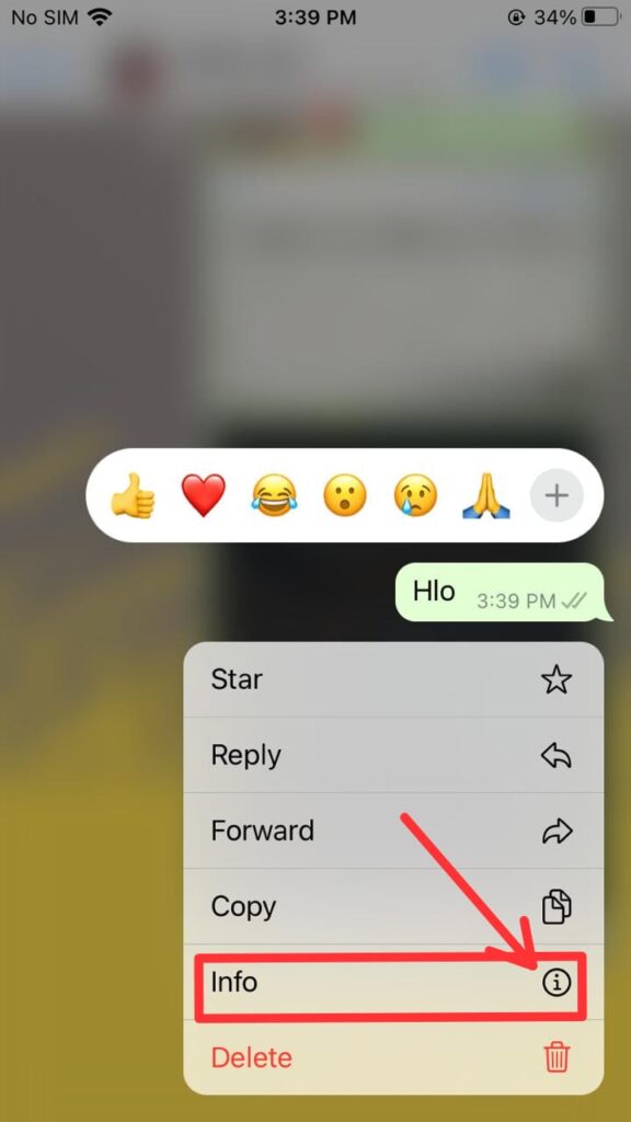 4 i How To Know If Someone Opened Your Chat On Whatsapp