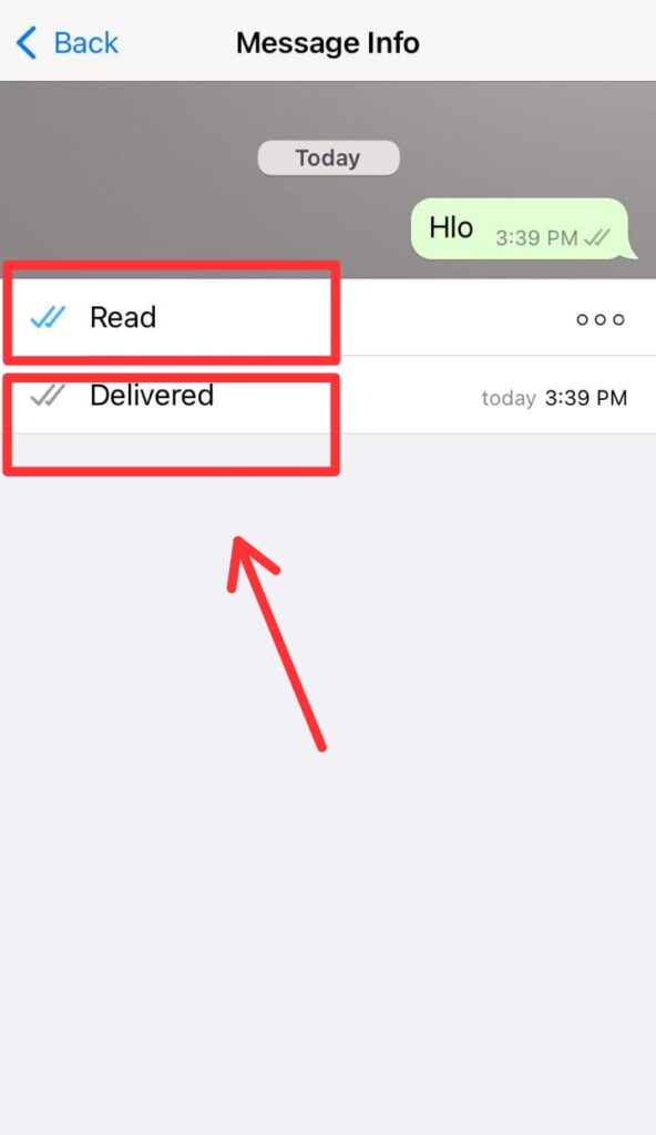 5 i How To Know If Someone Opened Your Chat On Whatsapp