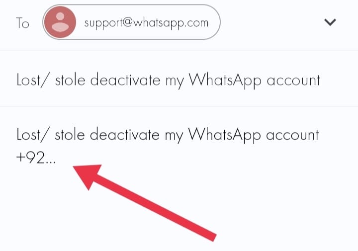 delete my WhatsApp account if I lose my number 