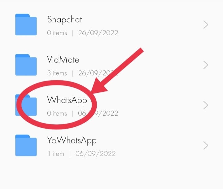How do I permanently delete WhatsApp chat history on my android 